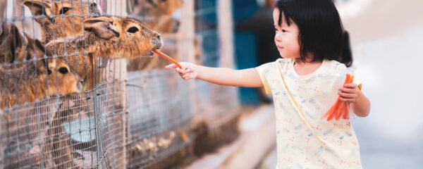 parc animalier en auvergne