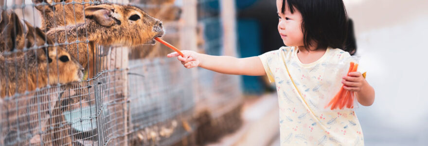 parc animalier en auvergne