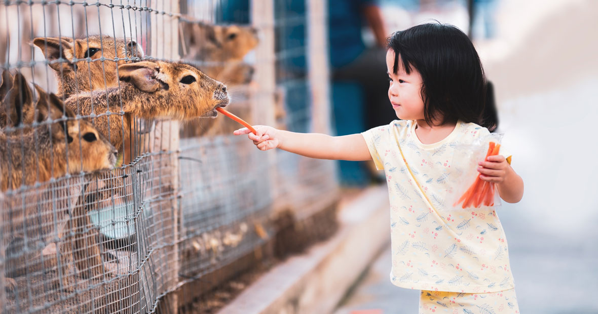 parc animalier en auvergne